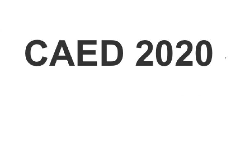 CAED 2020 Seminar: Fabiano Schivardi (LUISS University, Italy)