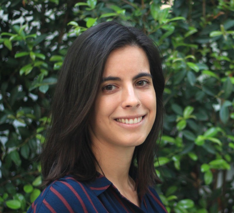 New Candidate fellow: Ana Figueiredo