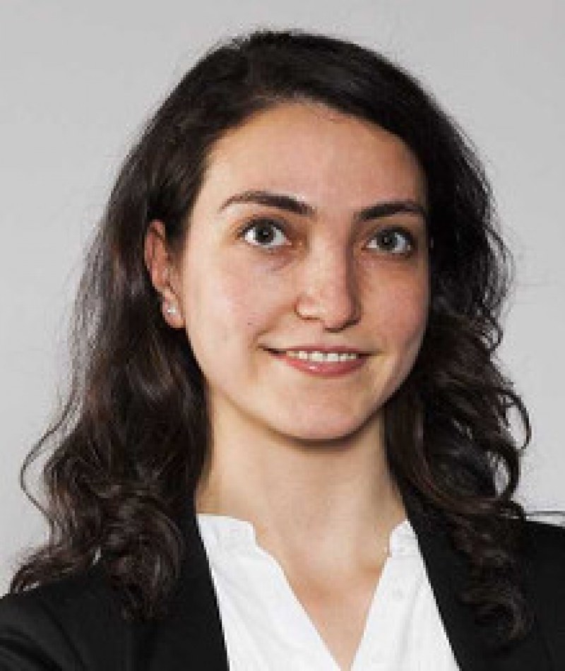 New Candidate Fellow: Hande Karabiyik